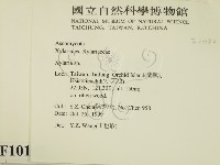 炭角菌屬藏品圖，第2張