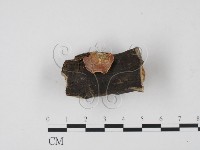 登錄號:F0010183藏品圖，第1張