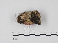 登錄號:F0010183藏品圖，第3張