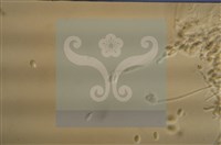 登錄號:F0010183藏品圖，第5張