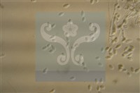 登錄號:F0010183藏品圖，第6張