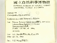 登錄號:F0010184藏品圖，第2張