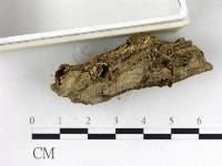 登錄號:F0010184藏品圖，第3張