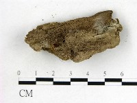 登錄號:F0010184藏品圖，第4張