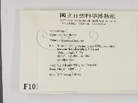 登錄號:F0010185藏品圖，第2張