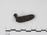 登錄號:F0010185藏品圖，第4張