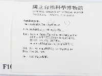 登錄號:F0010187藏品圖，第2張