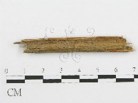 登錄號:F0010187藏品圖，第1張