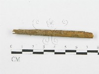 登錄號:F0010188藏品圖，第3張