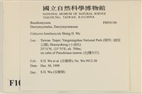 登錄號:F0010188藏品圖，第4張