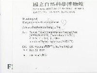 登錄號:F0010189藏品圖，第2張