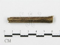 登錄號:F0010189藏品圖，第1張