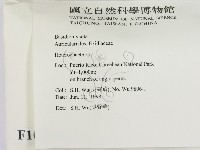 刺皮菌屬藏品圖，第2張