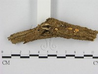 登錄號:F0010191藏品圖，第1張