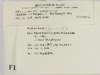 登錄號:F0010192藏品圖，第2張