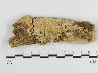 登錄號:F0010192藏品圖，第1張