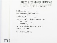 登錄號:F0010193藏品圖，第2張