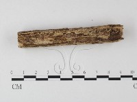 登錄號:F0010194藏品圖，第4張