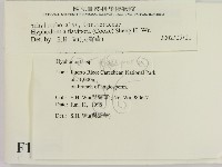 登錄號:F0010195藏品圖，第2張