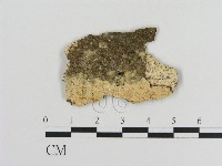 登錄號:F0010196藏品圖，第1張