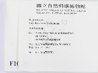 登錄號:F0010197藏品圖，第2張