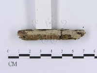 登錄號:F0010197藏品圖，第3張