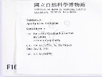 登錄號:F0010198藏品圖，第2張