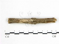 登錄號:F0010198藏品圖，第1張