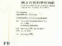 登錄號:F0010199藏品圖，第2張