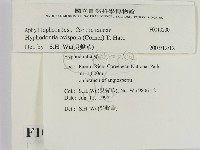 登錄號:F0010200藏品圖，第2張