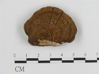 登錄號:F0010201藏品圖，第1張
