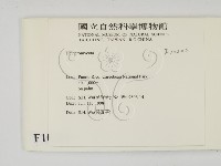 登錄號:F0010202藏品圖，第2張