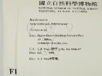 登錄號:F0010203藏品圖，第2張