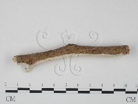登錄號:F0010203藏品圖，第1張