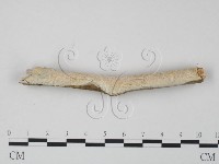 登錄號:F0010203藏品圖，第3張