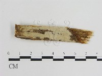 登錄號:F0010206藏品圖，第1張