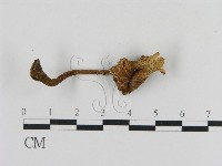 登錄號:F0010208藏品圖，第3張