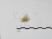 登錄號:F0010211藏品圖，第3張