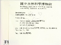 木耳屬藏品圖，第2張