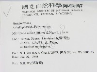 相鄰小孔菌藏品圖，第2張