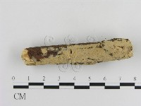 登錄號:F0010216藏品圖，第3張