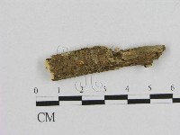 登錄號:F0010217藏品圖，第1張