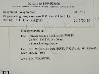 登錄號:F0010219藏品圖，第2張