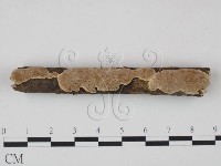 登錄號:F0010219藏品圖，第3張
