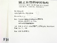 顯絲菌屬藏品圖，第2張