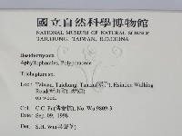 附毛菌屬藏品圖，第2張