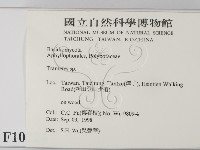 栓菌屬藏品圖，第2張