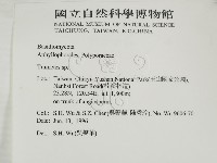 栓菌屬藏品圖，第2張