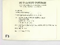 登錄號:F0010229藏品圖，第2張