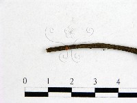 登錄號:F0010229藏品圖，第3張